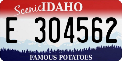 ID license plate E304562