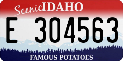 ID license plate E304563