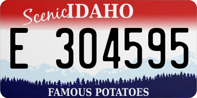 ID license plate E304595