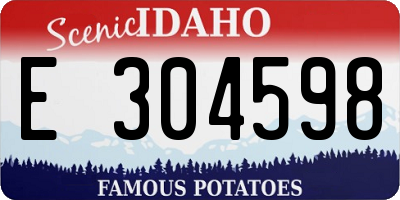 ID license plate E304598