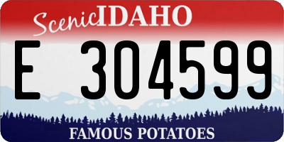 ID license plate E304599