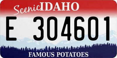 ID license plate E304601