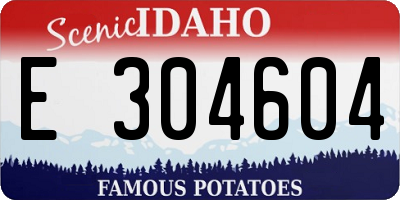 ID license plate E304604