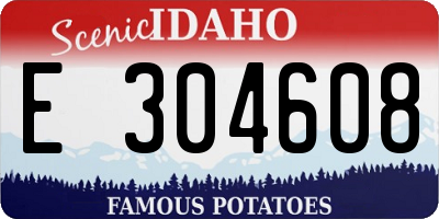ID license plate E304608
