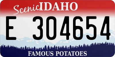 ID license plate E304654