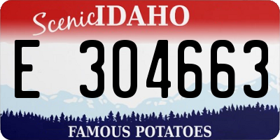 ID license plate E304663