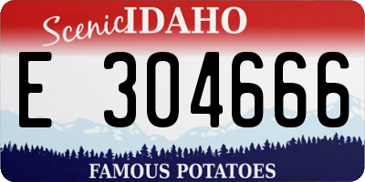 ID license plate E304666