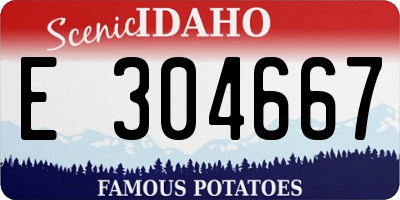 ID license plate E304667