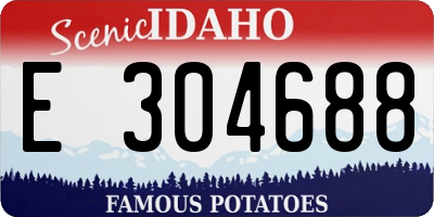 ID license plate E304688