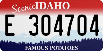ID license plate E304704