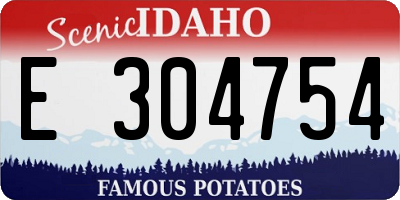 ID license plate E304754