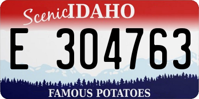 ID license plate E304763