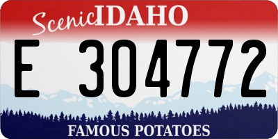 ID license plate E304772
