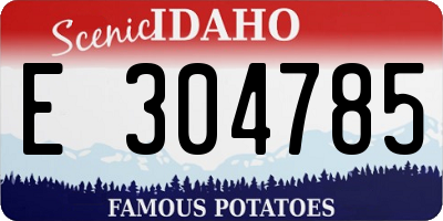 ID license plate E304785