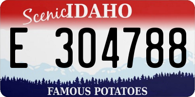 ID license plate E304788