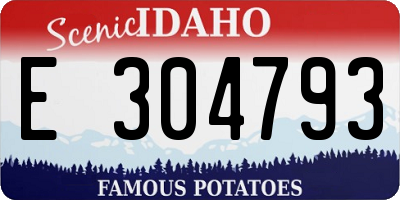 ID license plate E304793