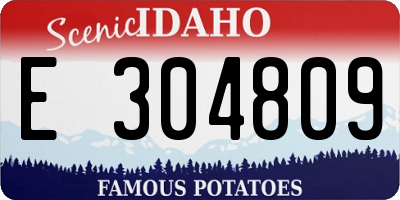 ID license plate E304809