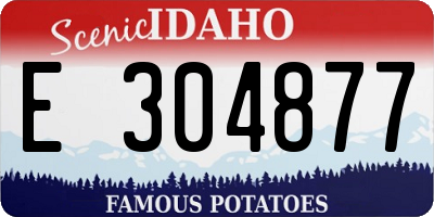 ID license plate E304877