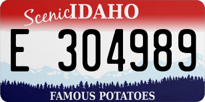ID license plate E304989