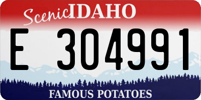 ID license plate E304991