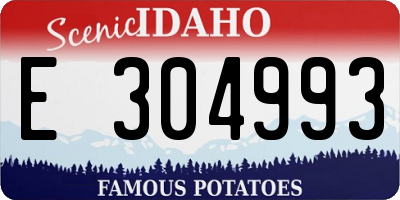 ID license plate E304993