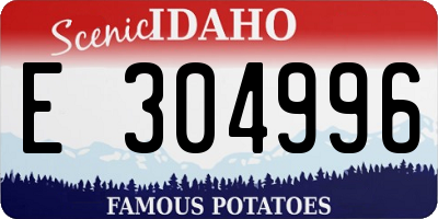 ID license plate E304996