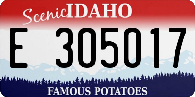 ID license plate E305017