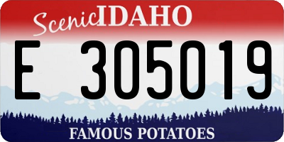 ID license plate E305019