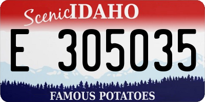 ID license plate E305035