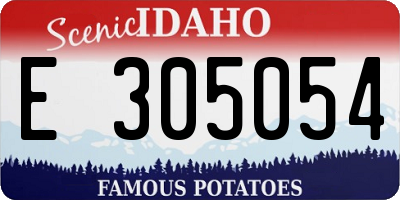 ID license plate E305054