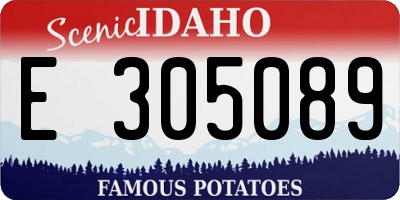 ID license plate E305089