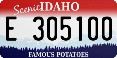 ID license plate E305100