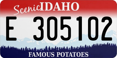 ID license plate E305102