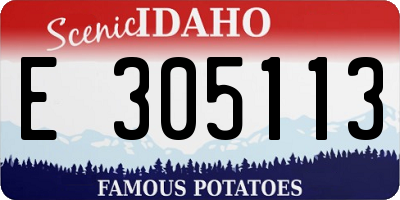 ID license plate E305113