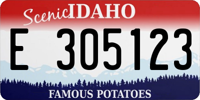 ID license plate E305123
