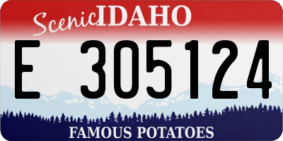 ID license plate E305124
