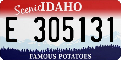 ID license plate E305131