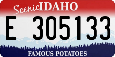 ID license plate E305133