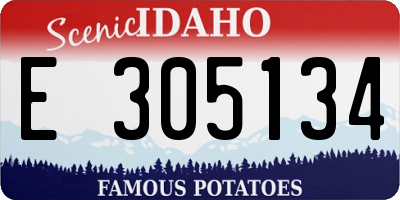 ID license plate E305134