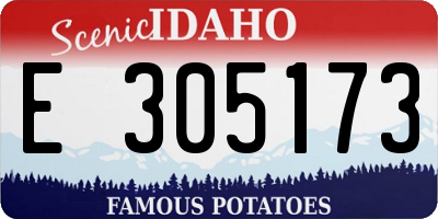 ID license plate E305173
