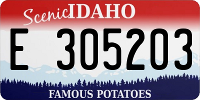 ID license plate E305203