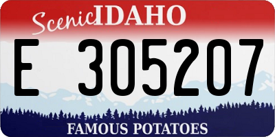 ID license plate E305207