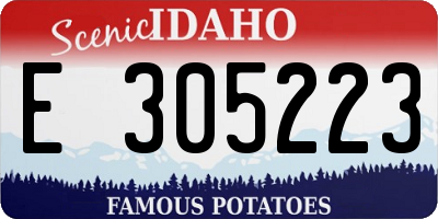 ID license plate E305223
