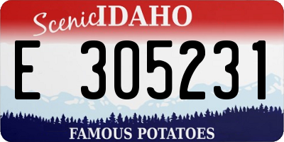 ID license plate E305231