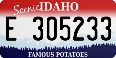 ID license plate E305233