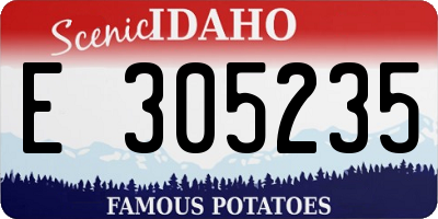 ID license plate E305235