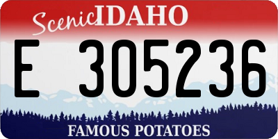 ID license plate E305236