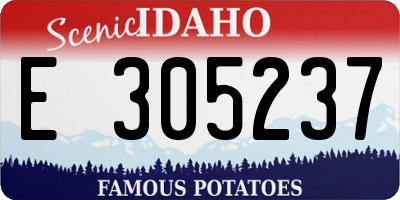 ID license plate E305237