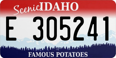 ID license plate E305241