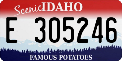 ID license plate E305246